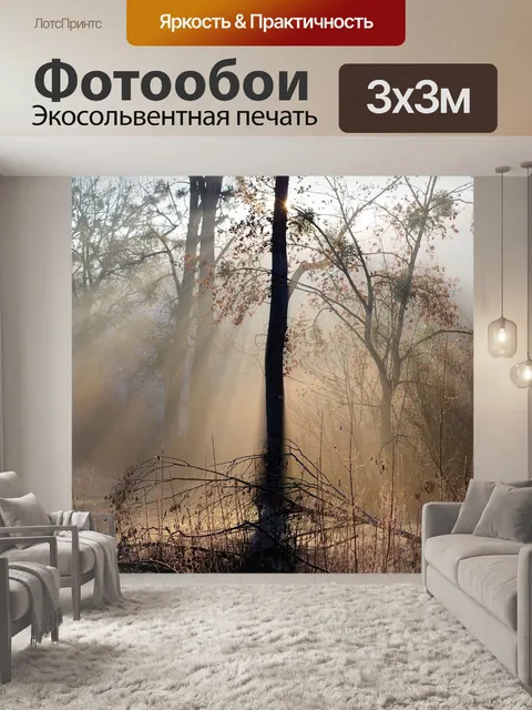 Фотообои Солнечные лучи