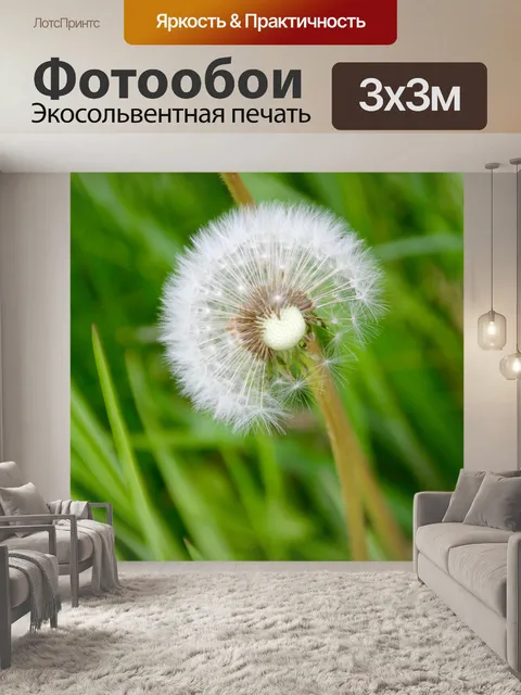 Фотообои Одуванчик