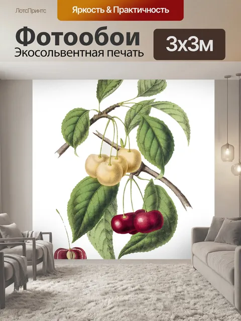 Фотообои Вишни старинные иллюстрации старые