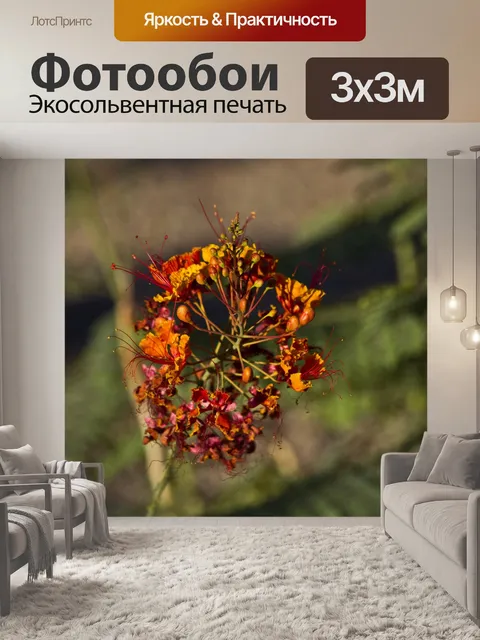 Фотообои Цветок