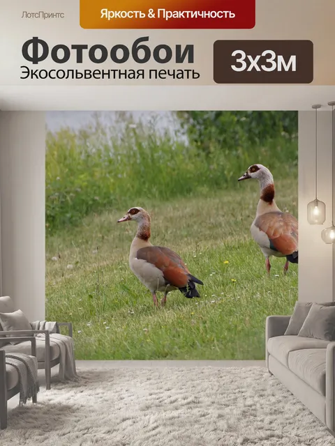 Фотообои Животные