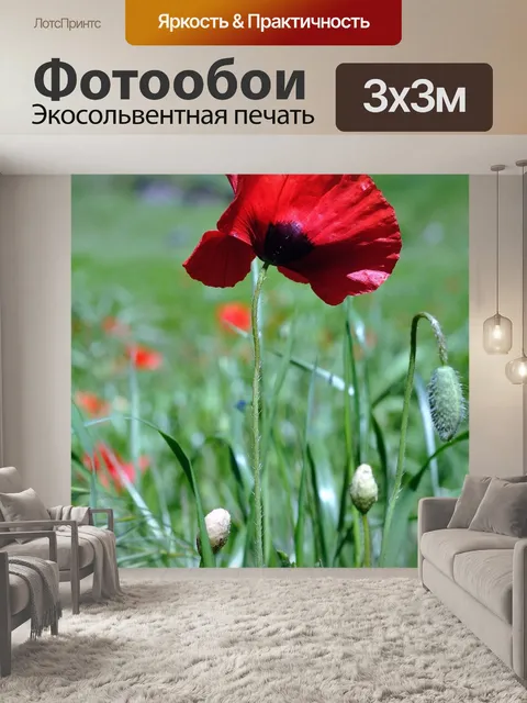 Фотообои Цветы