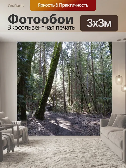 Фотообои Дорожка