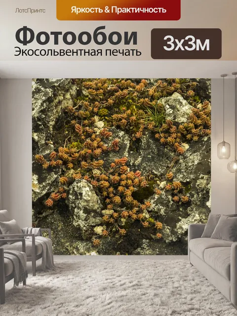 Фотообои Камень