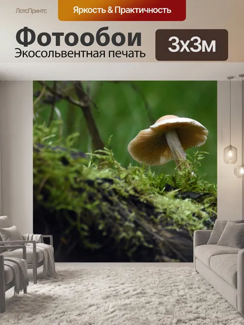 Фотообои Лес