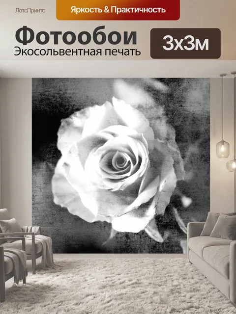 Фотообои Роза