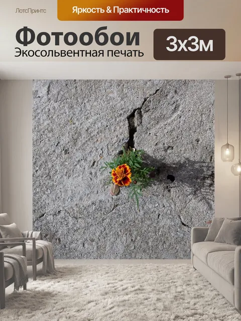 Фотообои Настойчивость