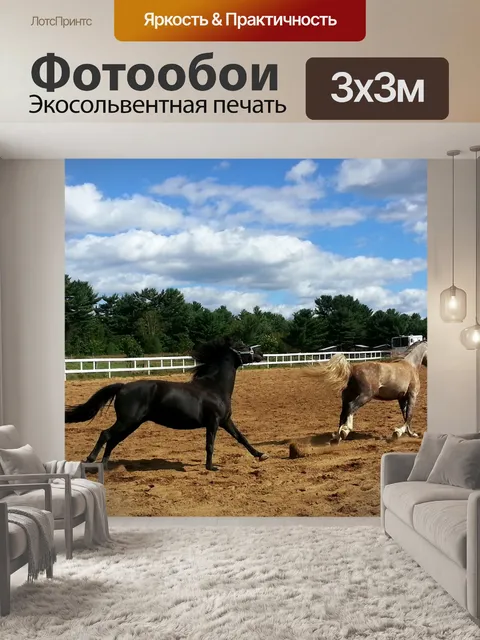 Фотообои Лошади работает