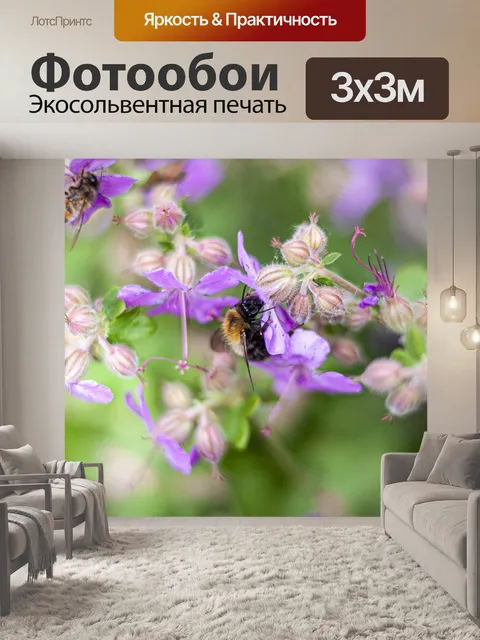 Фотообои Цветы