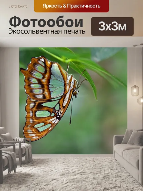 Фотообои Малахитовая бабочка