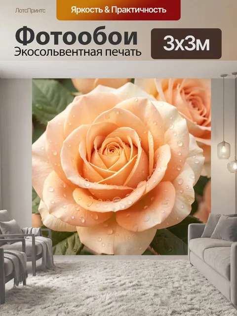 Фотообои Персиковая роза в каплях росы