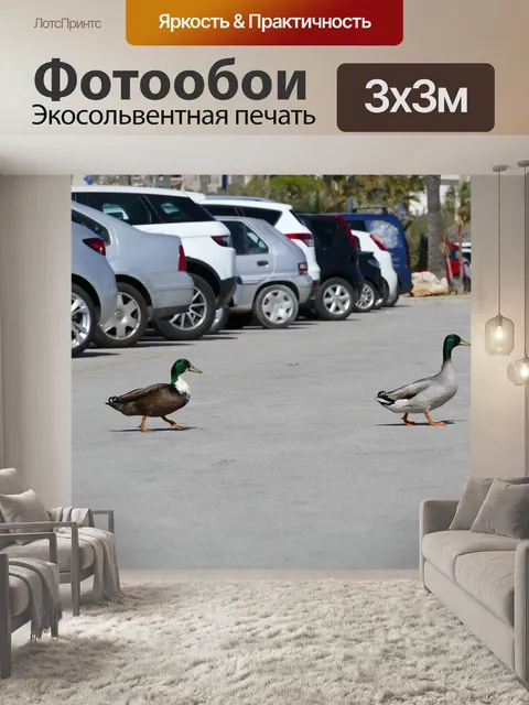 Фотообои Утки