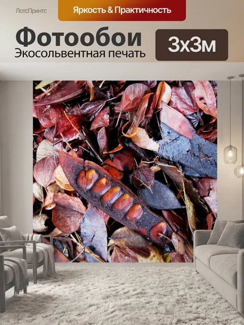 Фотообои стручках и сухие листья
