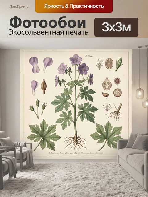 Фотообои Ботаническая иллюстрация фиолетовой герани