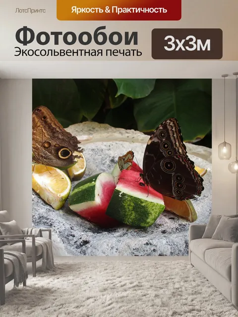 Фотообои Бабочки