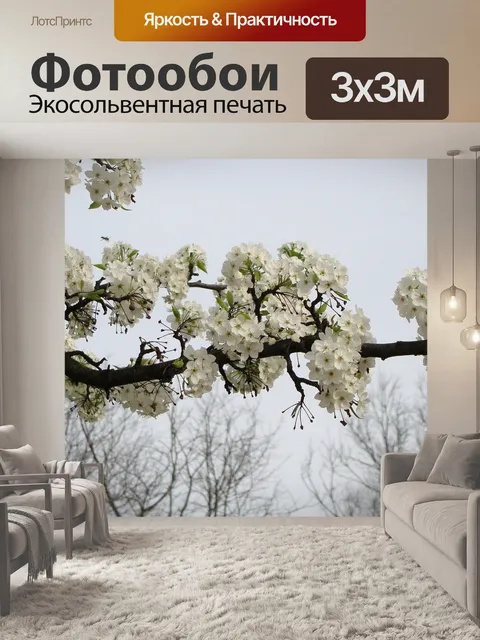 Фотообои Цветок