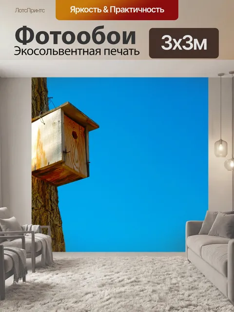 Фотообои Скворечник