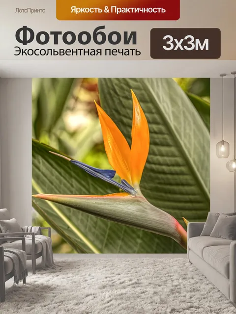 Фотообои Райская птица