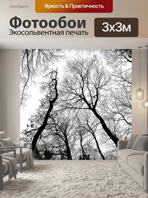 Фотообои Деревья