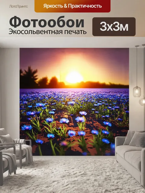 Фотообои на закате васильки отбрасывают длинные