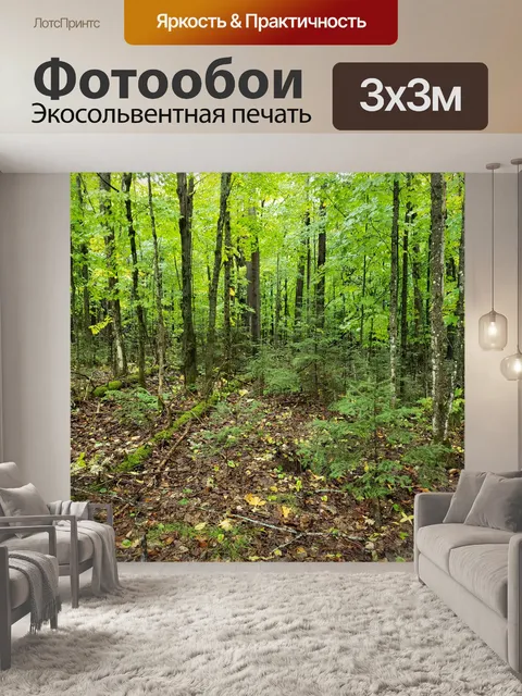 Фотообои Лесные деревья летом