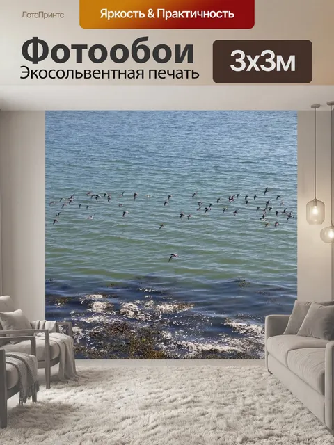 Фотообои Птицы