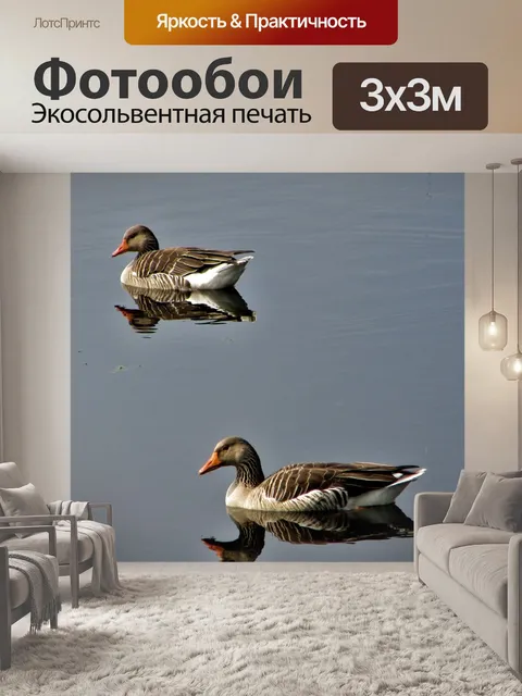 Фотообои Гуси