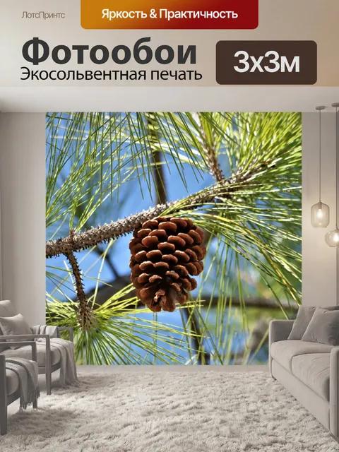Фотообои Шишка в дереве крупным планом
