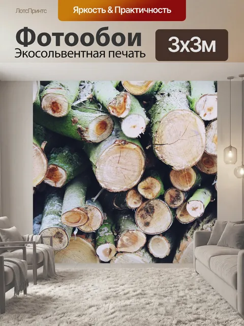 Фотообои Стволы деревьев