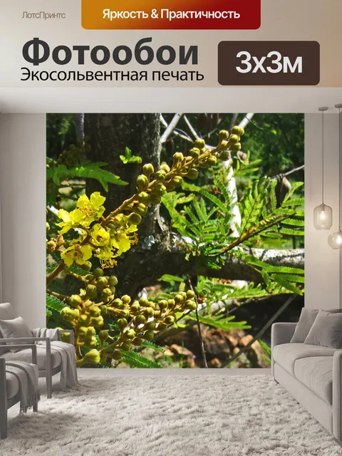 Фотообои Желтые цветы на диком дереве