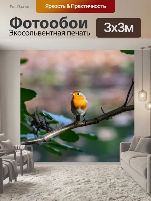 Фотообои Птица