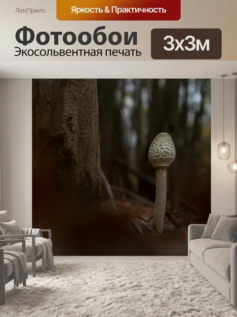 Фотообои Гриб