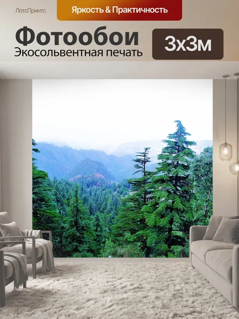 Фотообои станция Hill 3