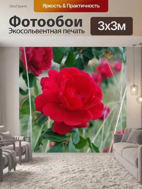 Фотообои Цветок