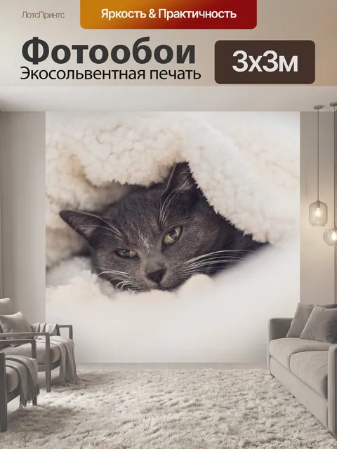Фотообои Кошка