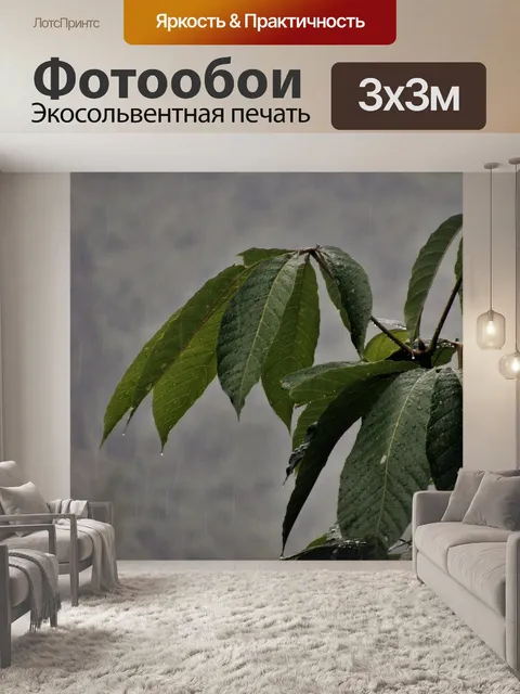 Фотообои Дождь