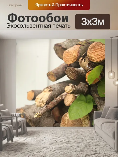 Фотообои Стволы деревьев