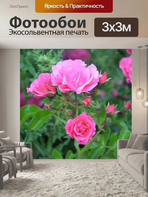 Фотообои Розовый