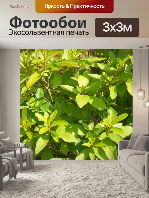Фотообои Лист