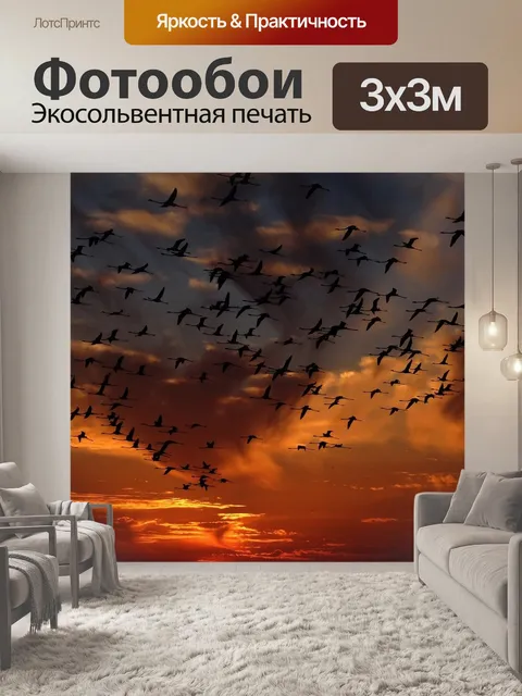 Фотообои Фламинго