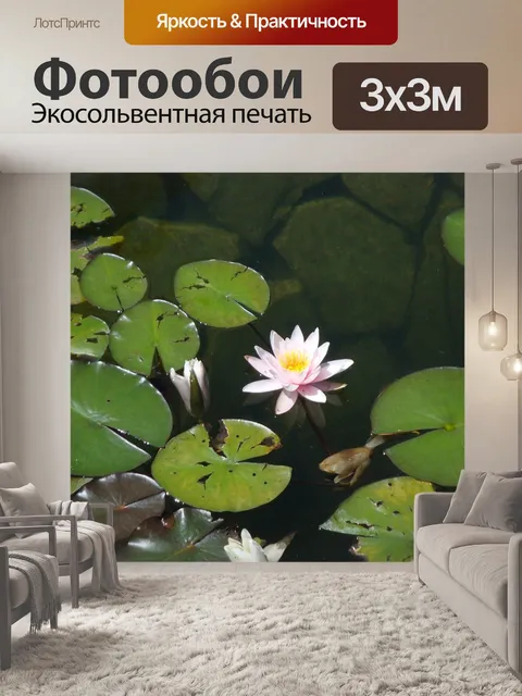 Фотообои Водяная лилия