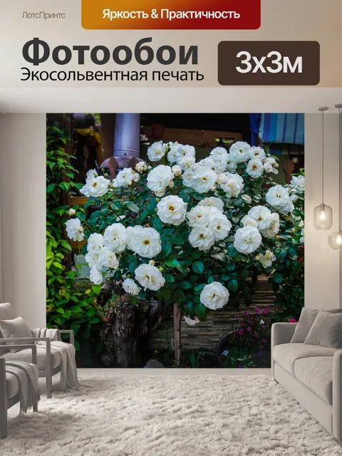 Фотообои Цветы
