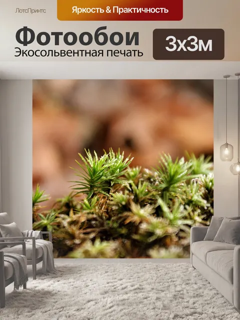 Фотообои Мох
