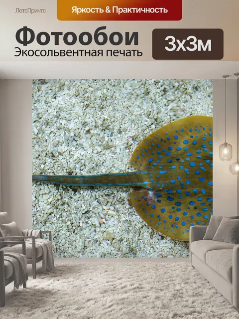 Фотообои Луч