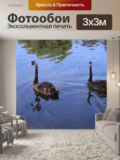 Фотообои Лебеди