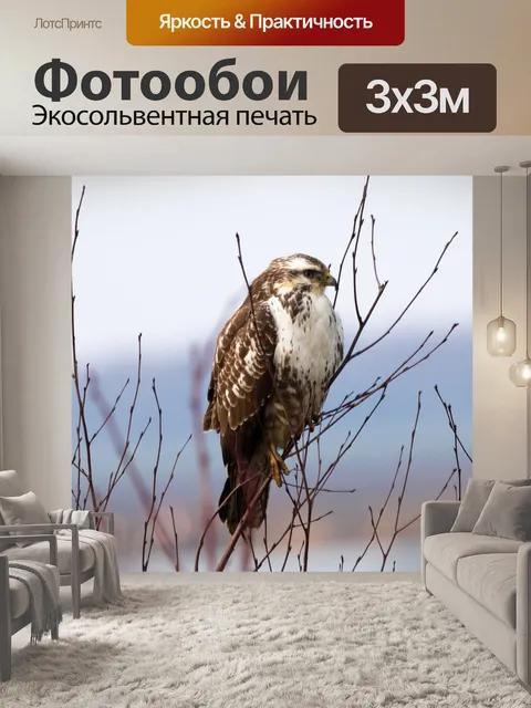 Фотообои Птица