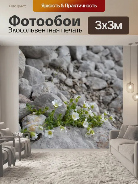 Фотообои Камень