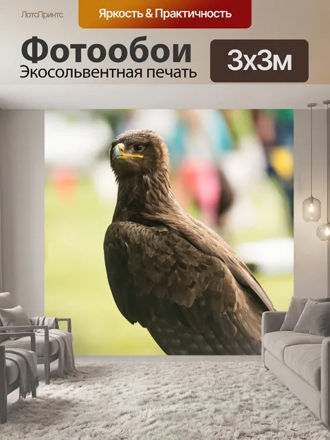 Фотообои Орел