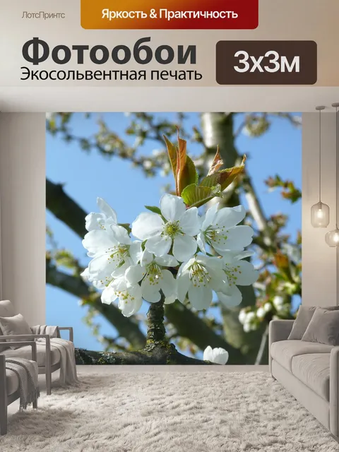 Фотообои Вишня