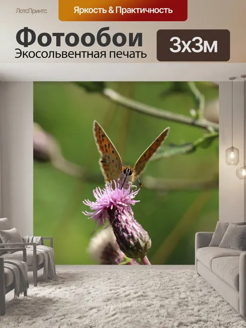 Фотообои Бабочка
